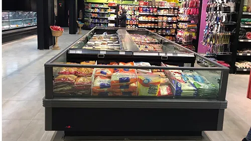 zagros freezer