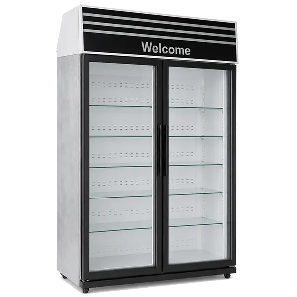 standing-2dore-refrigerator