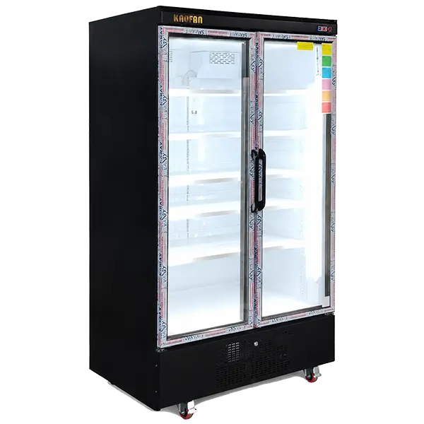 standing-2dore-refrigerator2