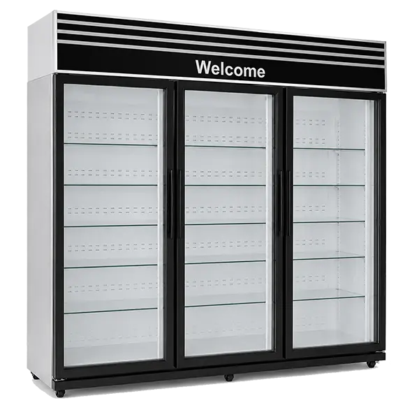 standing-3dore-refrigerator